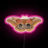 Polyphemus Moth (Antheraea polyphemus ii) - Neon Sign with Pink RGB Lighting