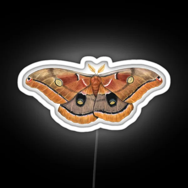 Polyphemus Moth Antheraea Polyphemus II RGB Neon Sign