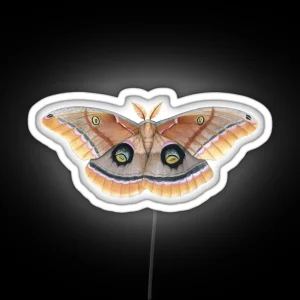 Polyphemus Moth Antheraea Polyphemus RGB Neon Sign