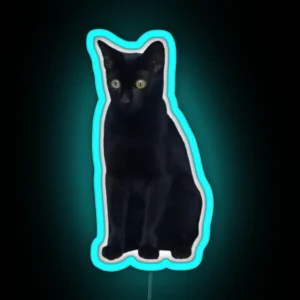 Poppy The Black Cat RGB Neon Sign