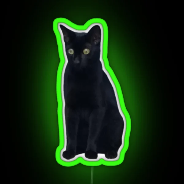 Poppy The Black Cat RGB Neon Sign