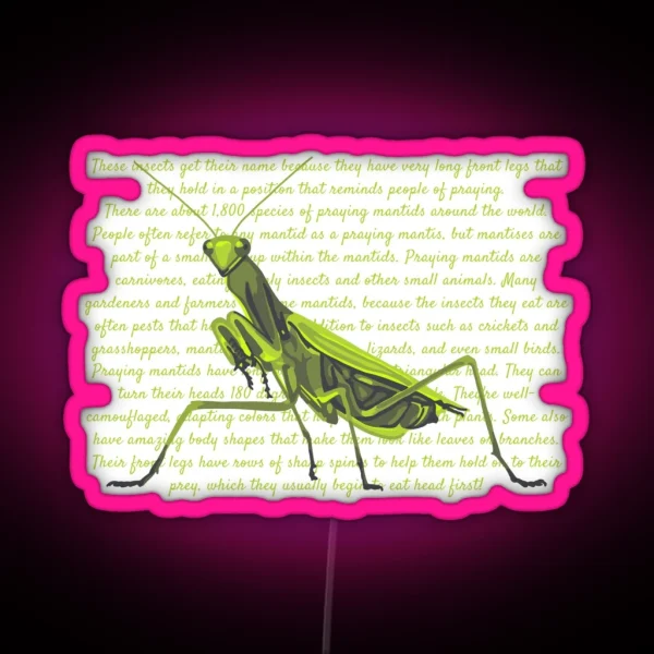 Praying Mantis Info RGB Neon Sign