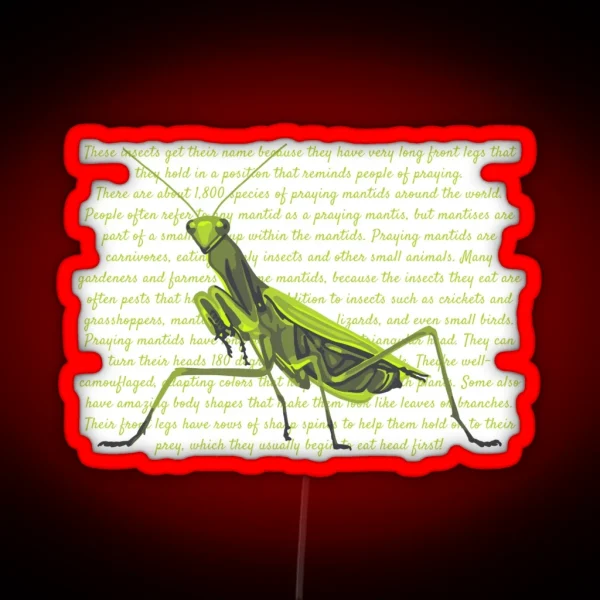 Praying Mantis Info RGB Neon Sign