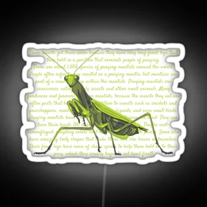 Praying Mantis Info RGB Neon Sign