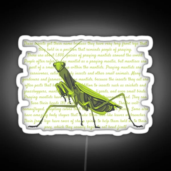 Praying Mantis Info RGB Neon Sign