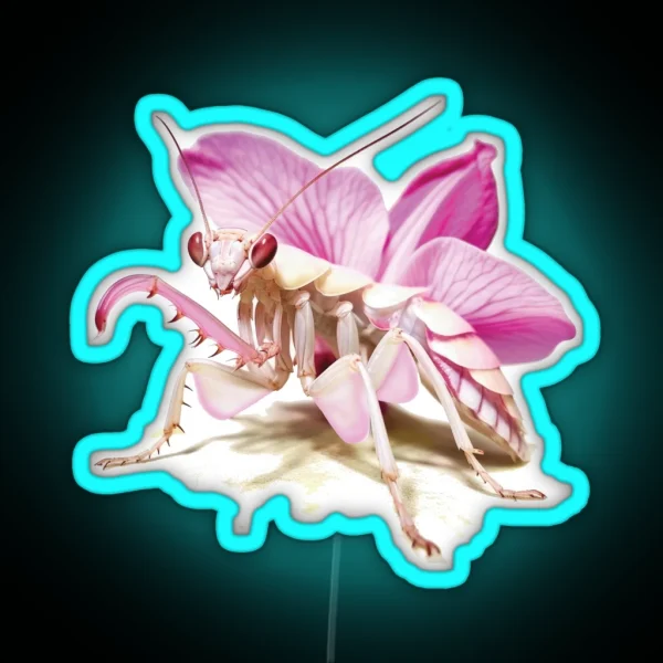 Praying Mantis Orchid Mantis RGB Neon Sign