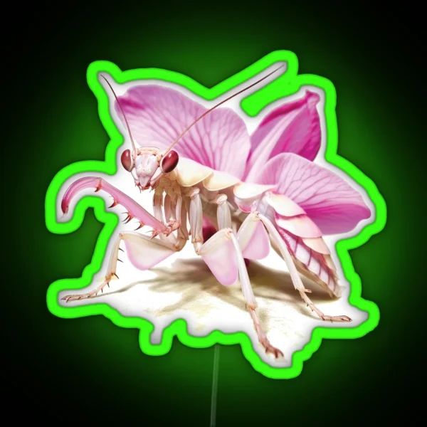 Praying Mantis Orchid Mantis RGB Neon Sign