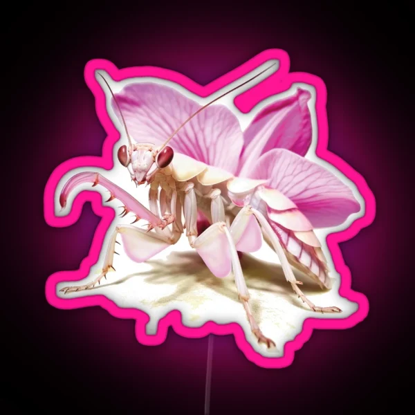Praying Mantis Orchid Mantis RGB Neon Sign