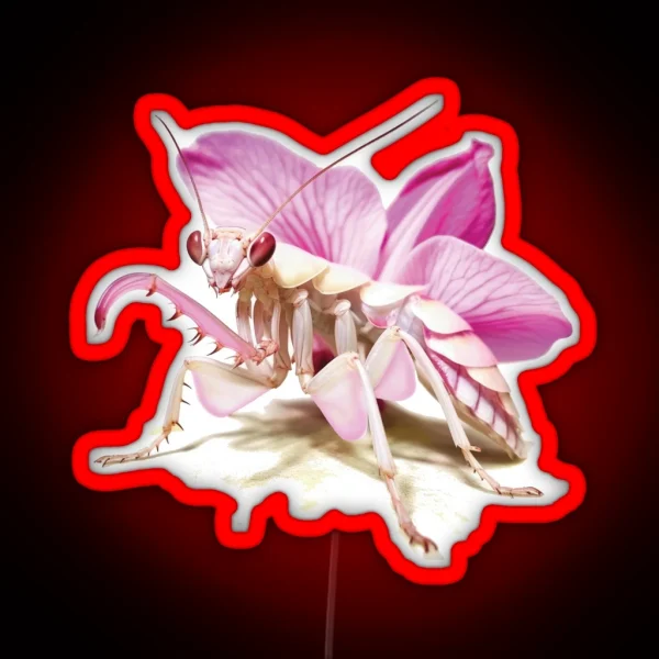 Praying Mantis Orchid Mantis RGB Neon Sign