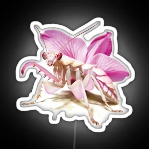 Praying Mantis Orchid Mantis RGB Neon Sign