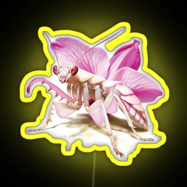 Praying Mantis Orchid Mantis RGB Neon Sign