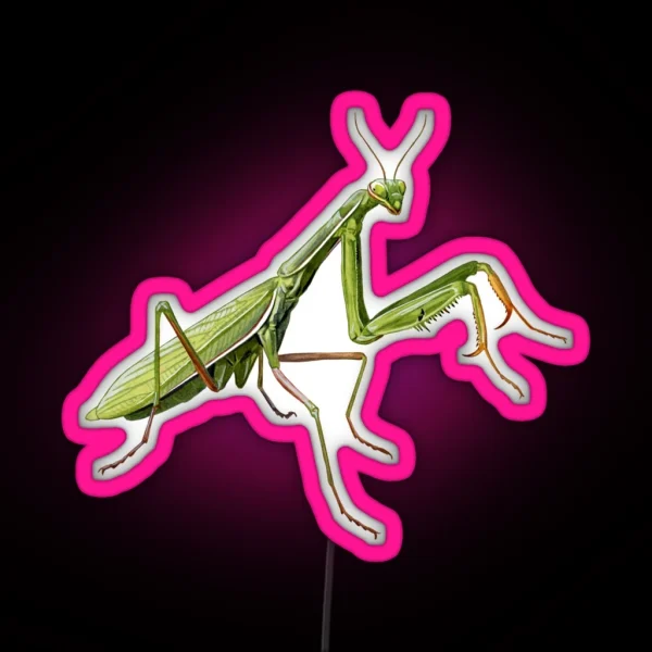 Praying Mantis RGB Neon Sign