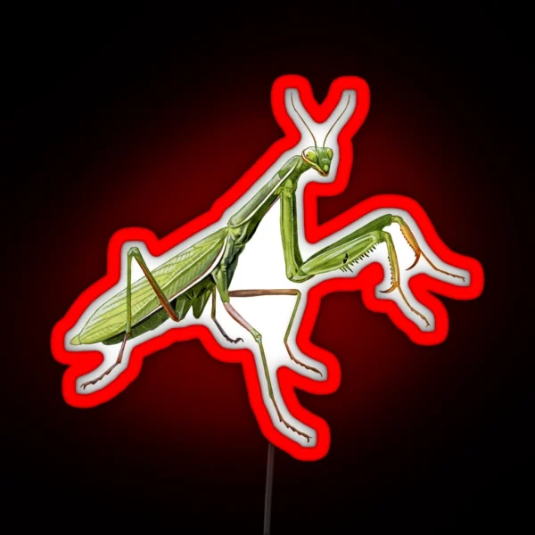 Praying Mantis RGB Neon Sign