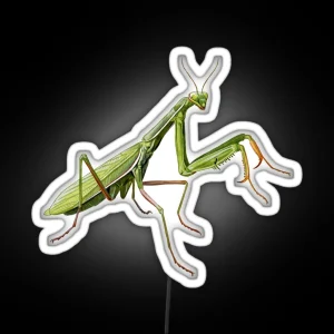 Praying Mantis RGB Neon Sign