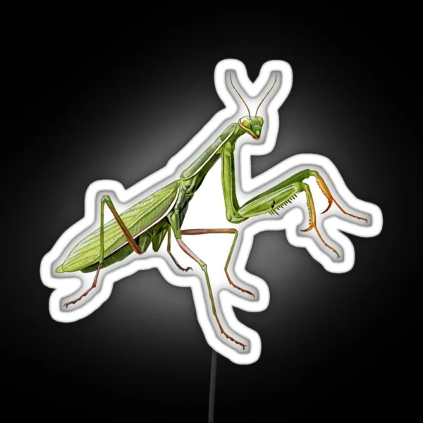 Praying Mantis RGB Neon Sign
