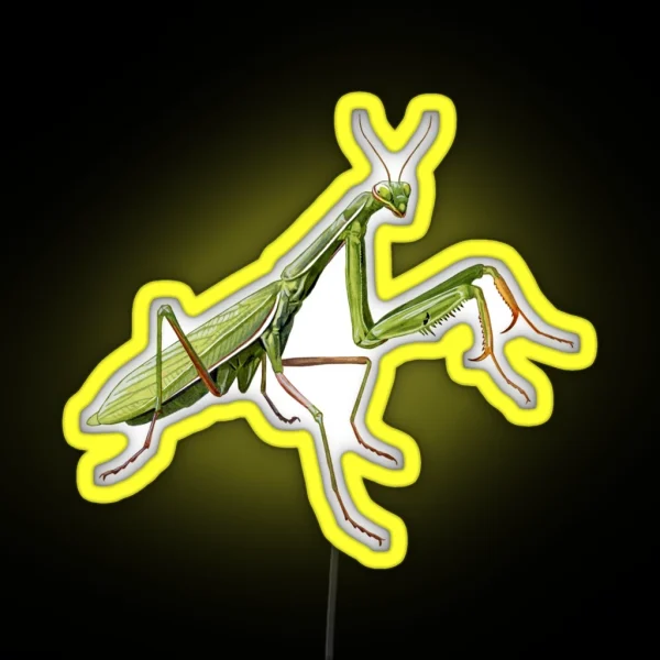 Praying Mantis RGB Neon Sign