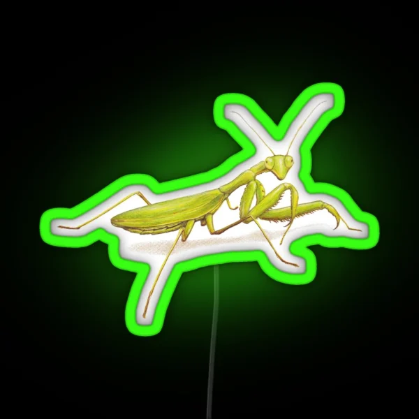 Praying Mantis RGB Neon Sign