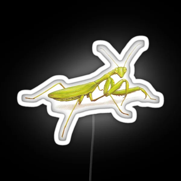 Praying Mantis RGB Neon Sign