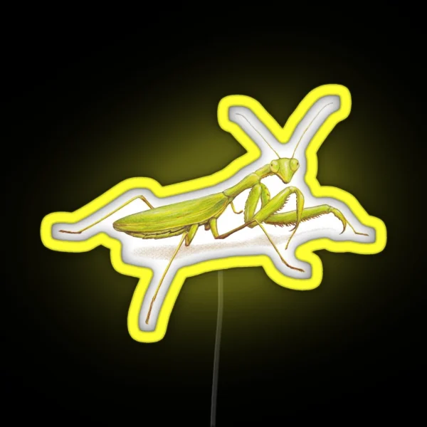 Praying Mantis RGB Neon Sign