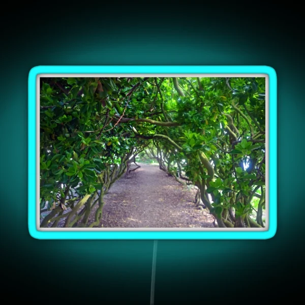 Pretty Green Walkway At Abbotsbury Dorset UK RGB Neon Sign