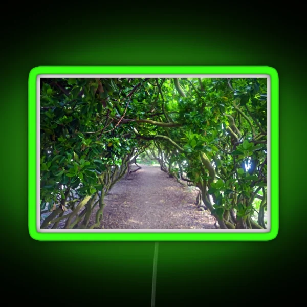 Pretty Green Walkway At Abbotsbury Dorset UK RGB Neon Sign