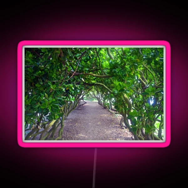 Pretty Green Walkway At Abbotsbury Dorset UK RGB Neon Sign
