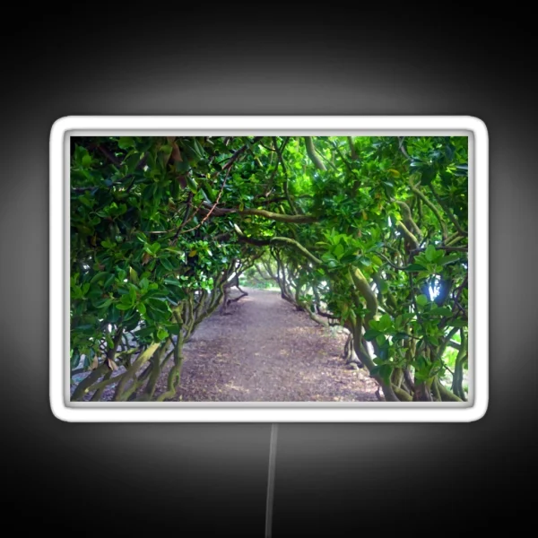 Pretty Green Walkway At Abbotsbury Dorset UK RGB Neon Sign