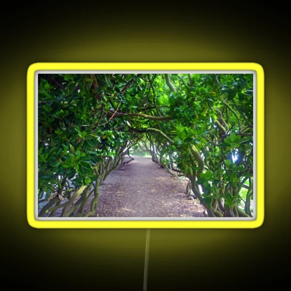 Pretty Green Walkway At Abbotsbury Dorset UK RGB Neon Sign