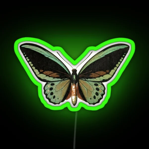 Priam Priam S Birdwing RGB Neon Sign