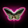 A vibrant neon sign displaying Priam's birdwing design in colorful RGB tones with a soft pink glow.