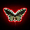 neon sign featuring priam's birdwing in vibrant rgb colors - artistic rgb decoration.