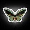priam-birdwing-neon-sign-rgb-colors-white