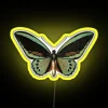 priam's birdwing rgb neon sign in vibrant yellow.