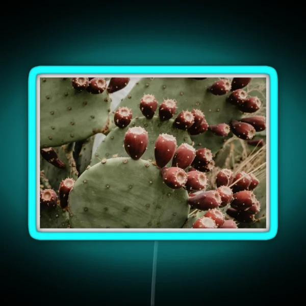 Prickly Pear Cactus RGB Neon Sign