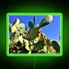 'RGB neon sign displaying prickly pears in vibrant green.'