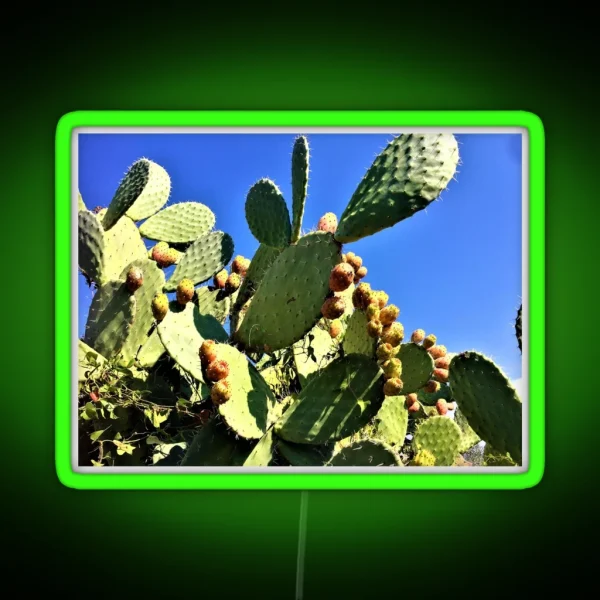 Prickly Pears RGB Neon Sign