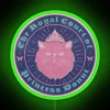 princess donut dungeon crawler carl blue pink neon sign rgb green
