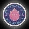princess-dungeon-crawler-rgb-neon-sign-blue-pink