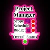 rgb neon sign for project manager - perfect office gift