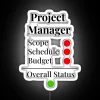 Project Manager RGB Neon Sign - LED Gift for Office Party or Desk Decoration.