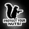 Protect Your Nuts Squirrel Logo Neon Sign RGB Design White WebP Image