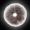 psilocybe-cubensis-spore-print-neon-sign-rgb-vibrant-artwork.webp