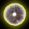psilocybe-cubensis-psychedelic-mushroom-spore-print-rgb-neon-sign-yellow