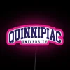 quinnipac-college-neon-sign-curved-font-rgb-pink