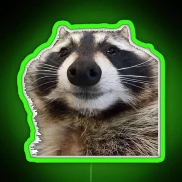 Raccoon Meme RGB Neon Sign