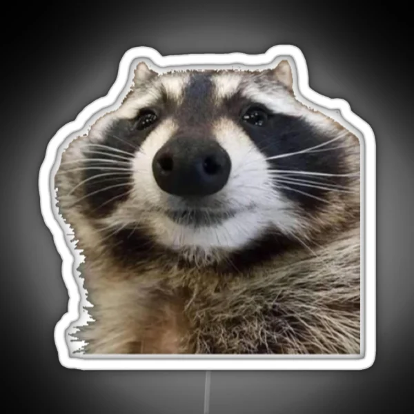Raccoon Meme RGB Neon Sign