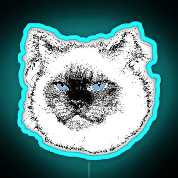 Ragdoll Cat Christmas Gift For Ragdoll Owners RGB Neon Sign