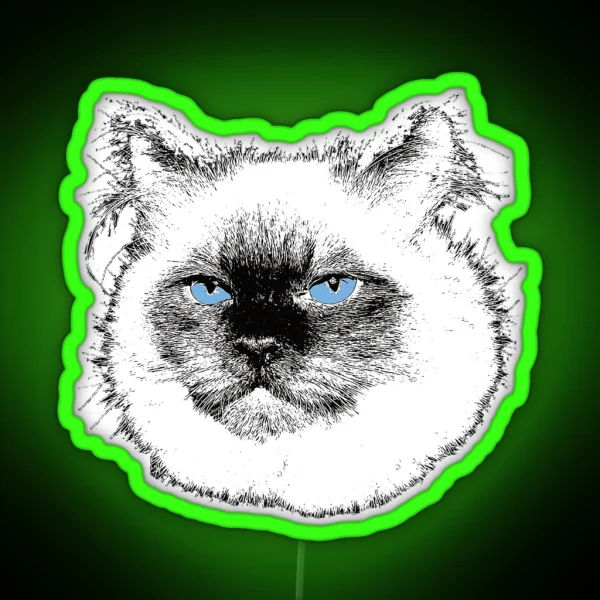 Ragdoll Cat Christmas Gift For Ragdoll Owners RGB Neon Sign