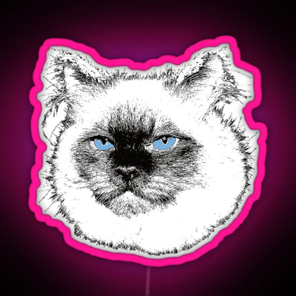 Ragdoll Cat Christmas Gift For Ragdoll Owners RGB Neon Sign