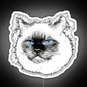 Ragdoll Cat Christmas Gift For Ragdoll Owners RGB Neon Sign